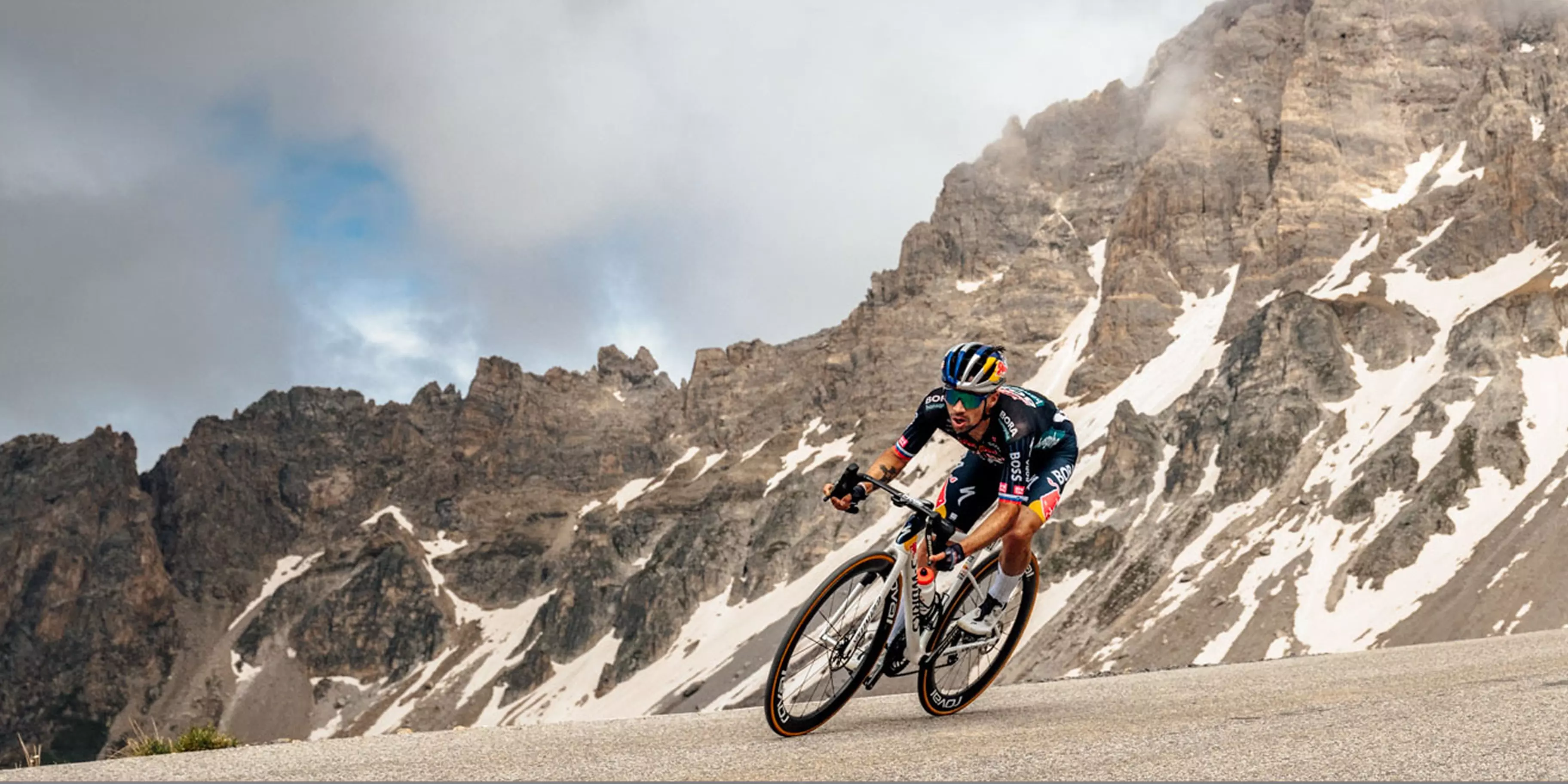 Kola Specialized v nabídce