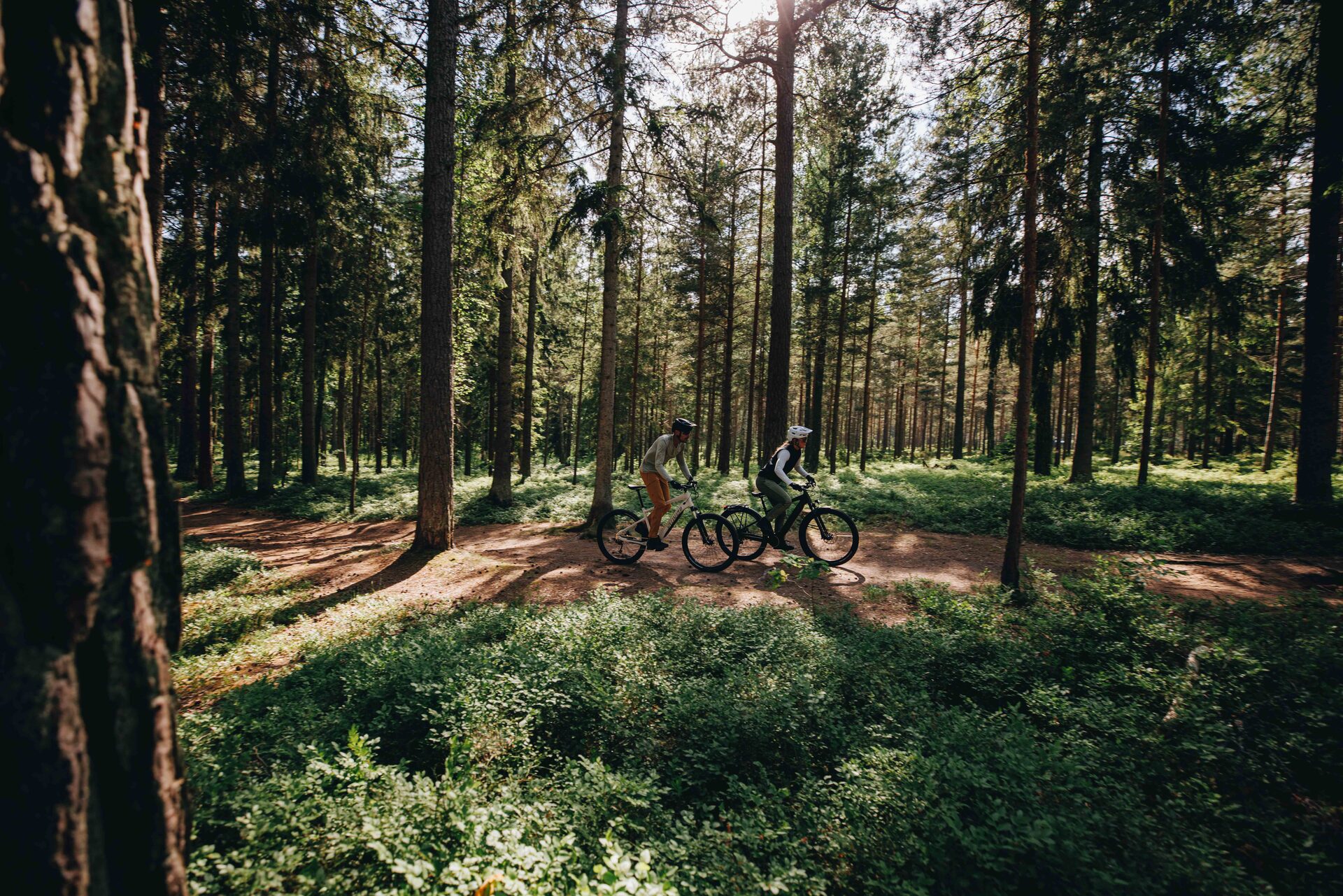 Specialized v akci