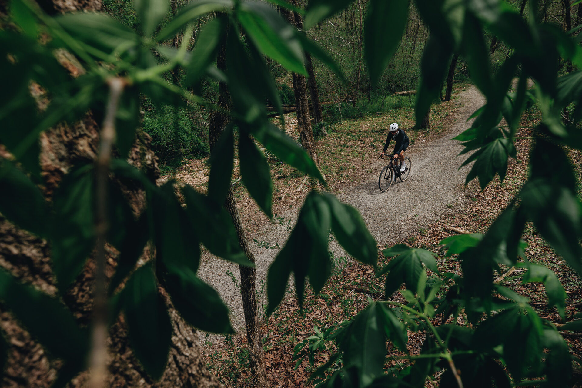 Specialized v akci