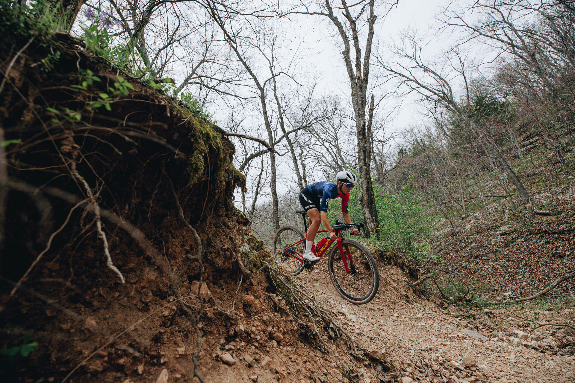 Crux DSW Frameset - D'Aluisio Smartweld Alloy v akci