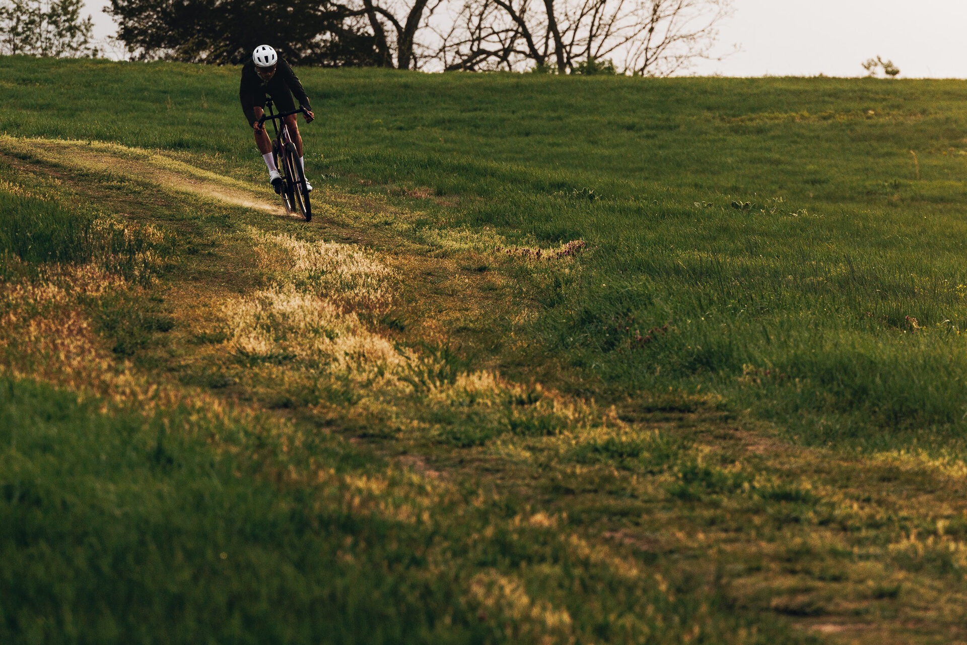 Specialized v akci