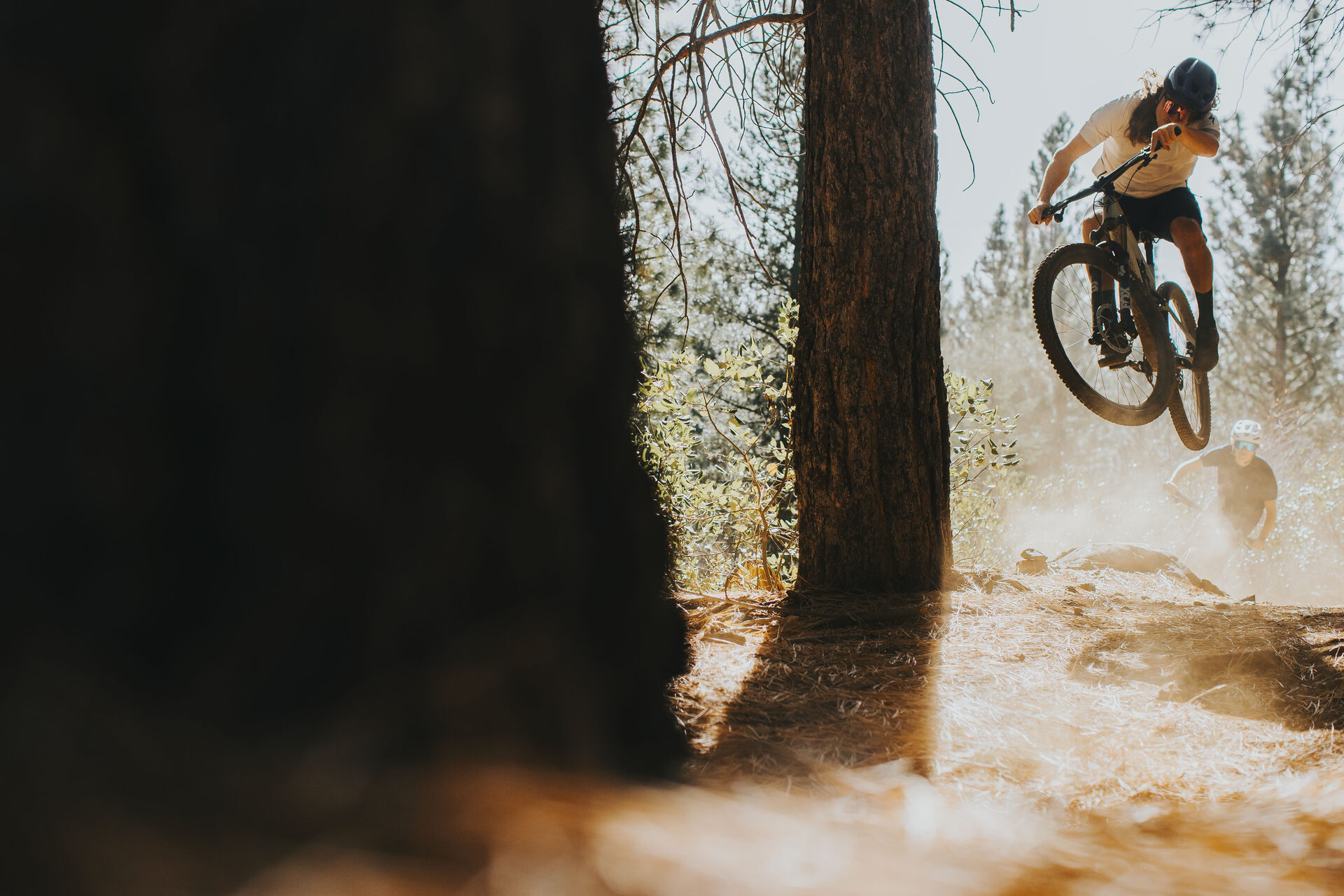 Specialized v akci