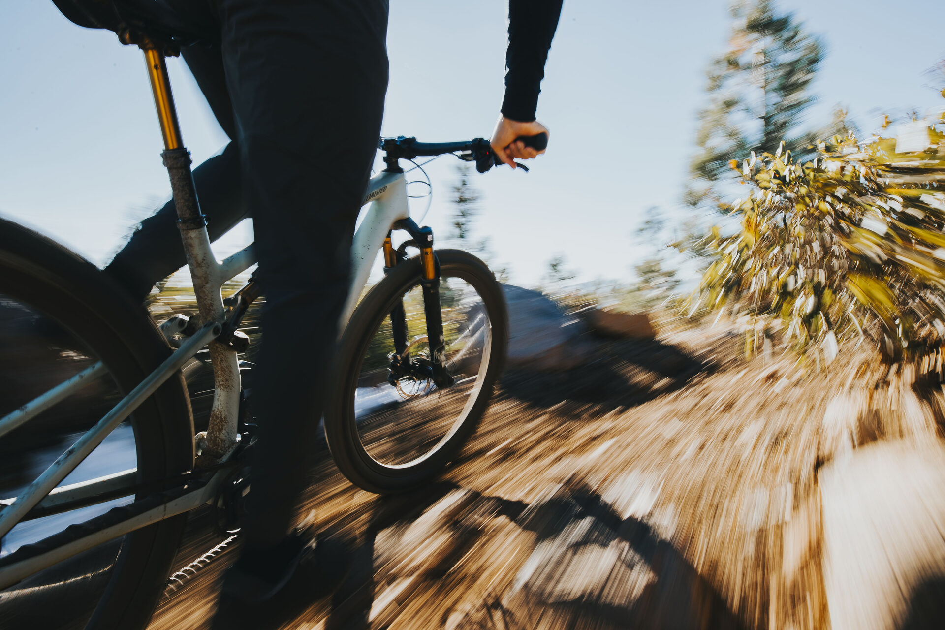 S-Works Epic 8 EVO  - Shimano XTR Di2, FOX Factory v akci