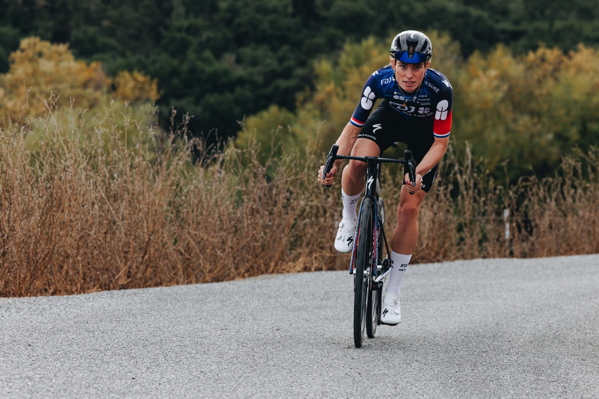S-Works Roubaix SL8 - Shimano Dura-Ace Di2 v akci