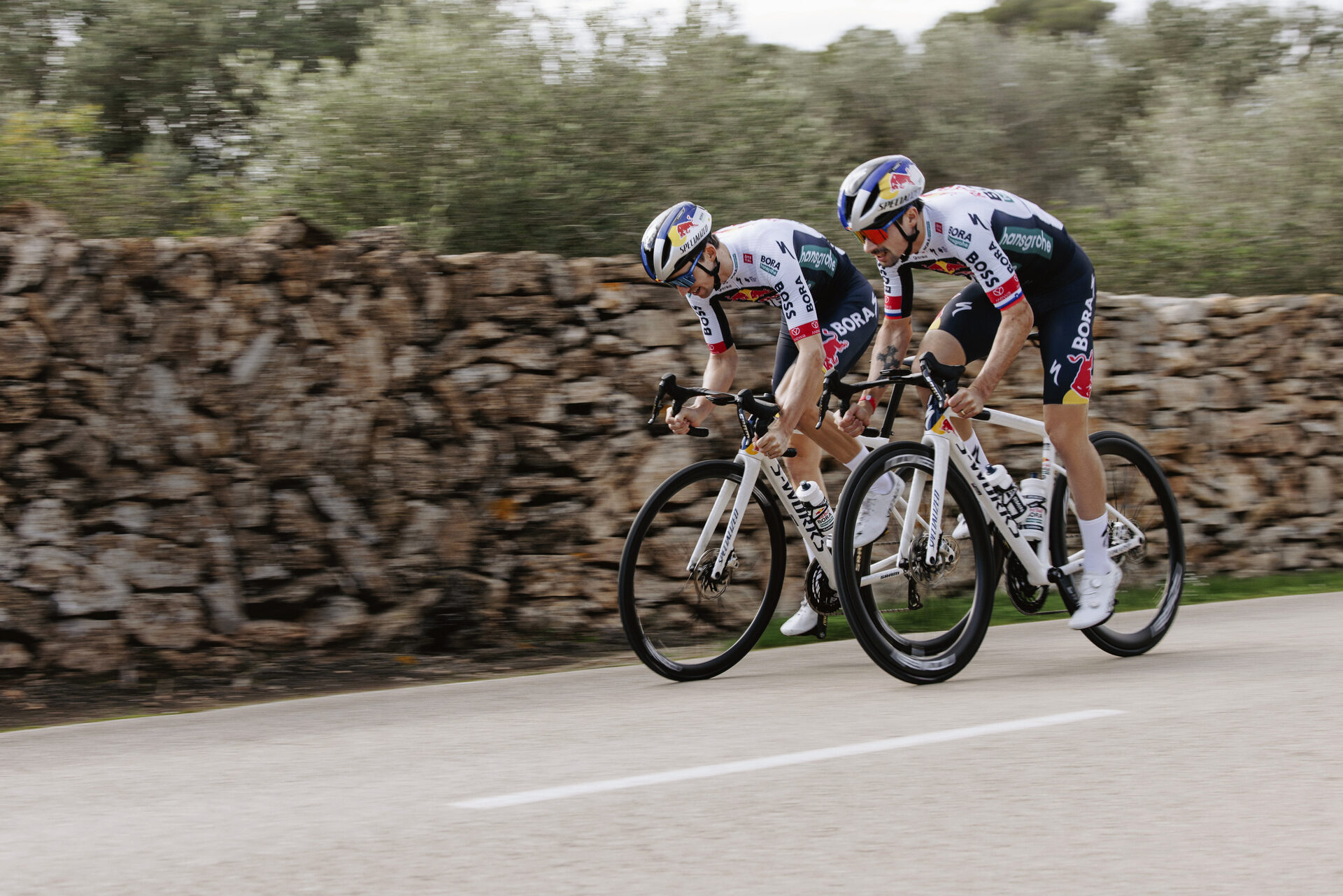 S-Works Tarmac SL8 Frameset - FACT 12r Carbon v akci